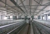Poultry pen needed to buy