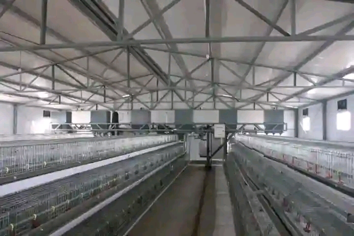 Poultry pen needed to buy