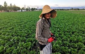 I need an Agricultural consultant for my new farm Agriculture